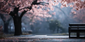 江歌母亲刘鑫案究竟是怎样的事情？