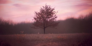 越是不开心越想你究竟是哪首歌？